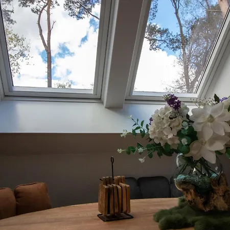 Ferienhaus Buitenplaats Sprielderbosch 40 Bosrijk Garderen