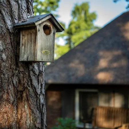 Ferienhaus Buitenplaats Sprielderbosch 40 Bosrijk Garderen