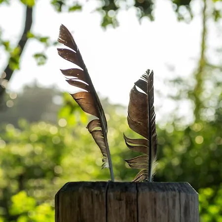 Buitenplaats Sprielderbosch 40 Bosrijk Garderen